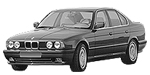 BMW E34 C2454 Fault Code